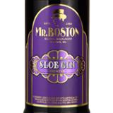 Mr. Boston Sloe Gin